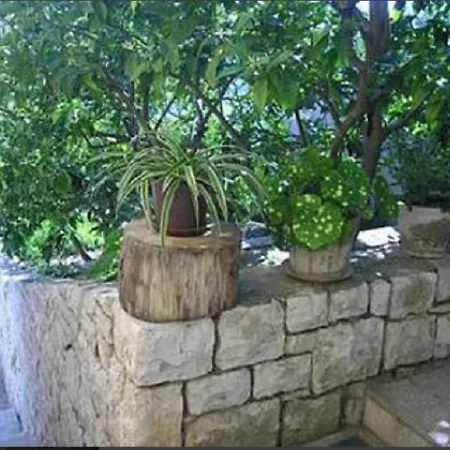 Apts & Rooms Frano - 50M From Beach Affittacamere